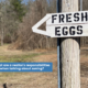 Fresh eggs sign in the Berkshires of Massachusetts waht are a realtor's responsibilities when talking about zoning?